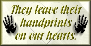 handprintsonheartbanner.gif